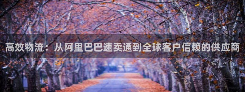 超凡国际官网下载链接是什么：高效物流