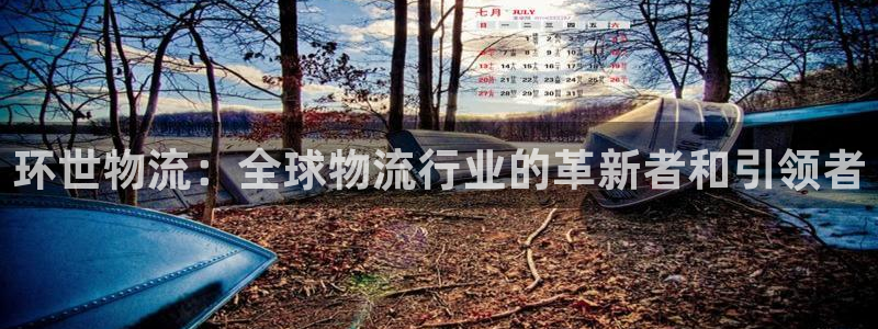 超凡国际注册流程：环世物流：全球物流