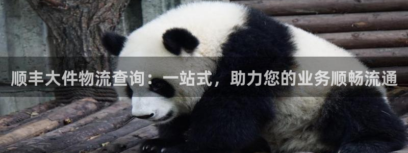 超凡国际登录流程：顺丰大件物流查询：