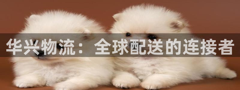 超凡国际官网平台：华兴物流：全球配送