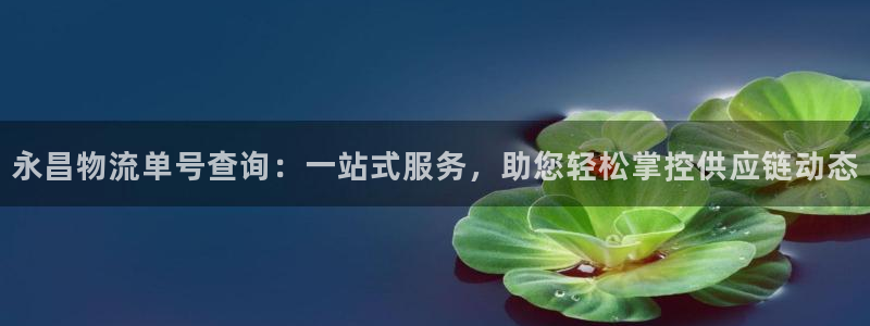 超凡国际官网入口o：永昌物流单号查询