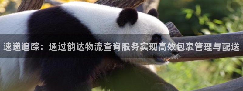 超凡国际软件：速递追踪：通过韵达物流
