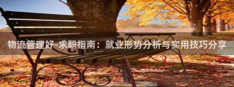 超凡国际下载链接是多少：物流管理好-