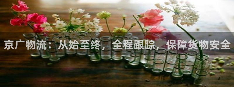 超凡国际注册用户名是什么：京广物流：