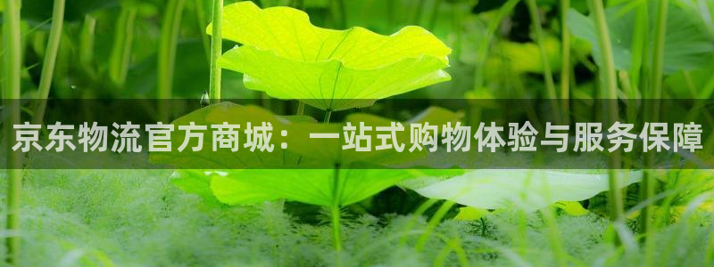 超凡国际加拿大app预测：京东物流官