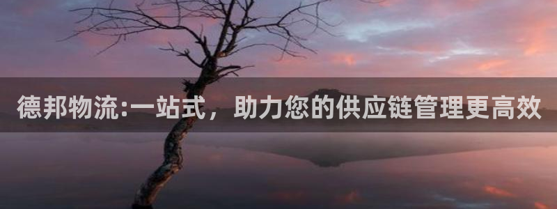 超凡国际官网入口pc29官网版下载：