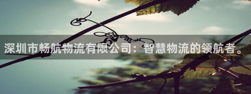 超凡国际模拟器下载：深圳市畅航物流有