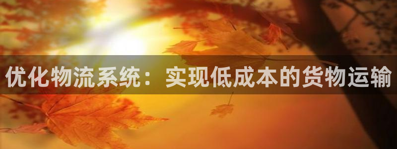 加拿大超凡国际是什么：优化物流系统：