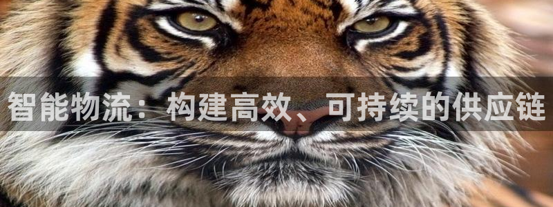 超凡国际充值为什么充不了：智能物流：