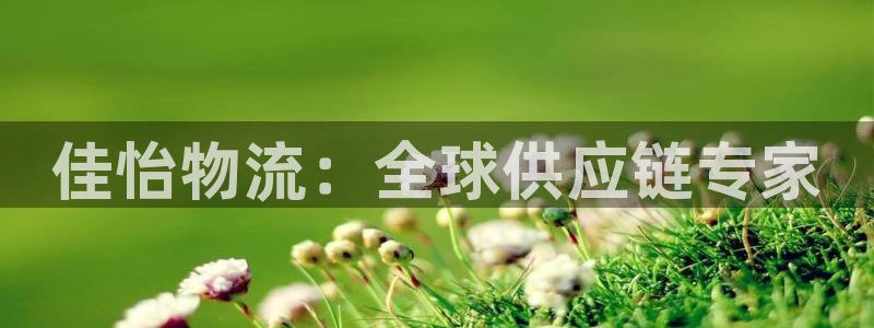 超凡国际app注册地址：佳怡物流：全球供应链专家
