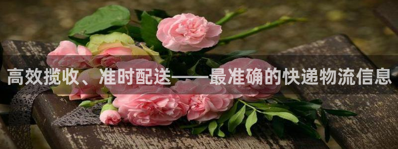 超凡国际如何看012路计划：高效揽收