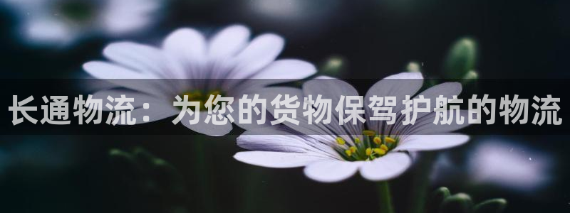 超凡国际加拿大28：长通物流：为您的