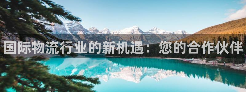 超凡国际注册官网：国际物流行业的新机