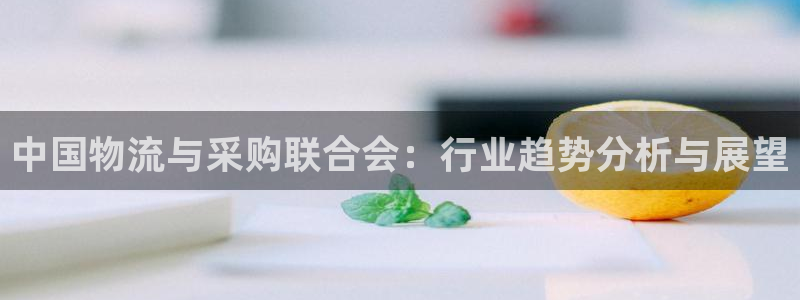 超凡国际加拿大技巧：中国物流与采购联
