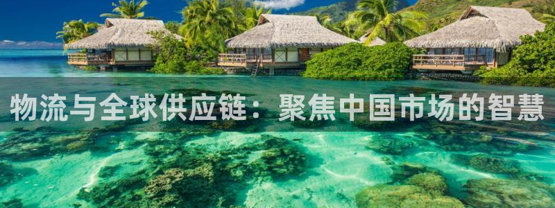 超凡国际充值：物流与全球供应链：聚焦