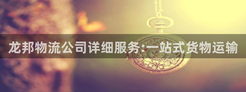 超凡国际是正规软件吗：龙邦物流公司详