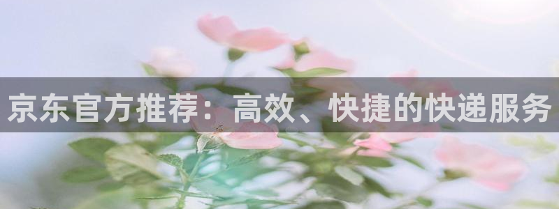 超凡国际充值不处理会怎么样：京东官方